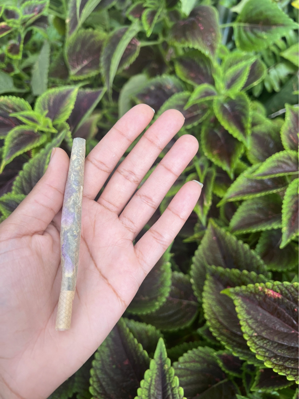Anti Anxiety/Depressant Blunt