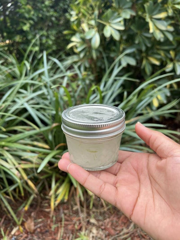 Face Cleanser