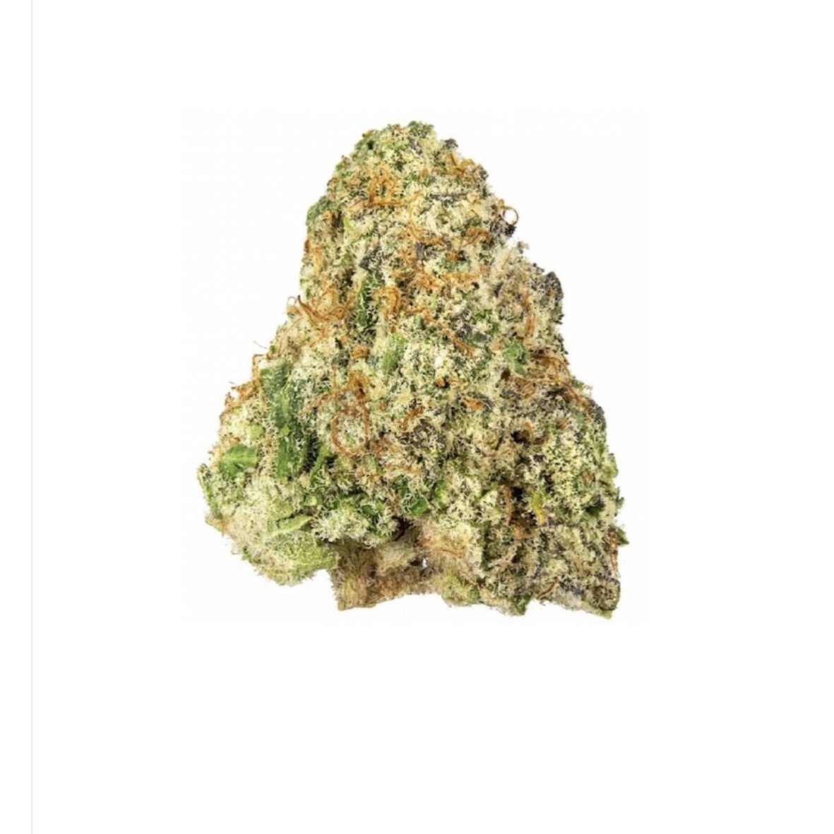 Gelato 41
