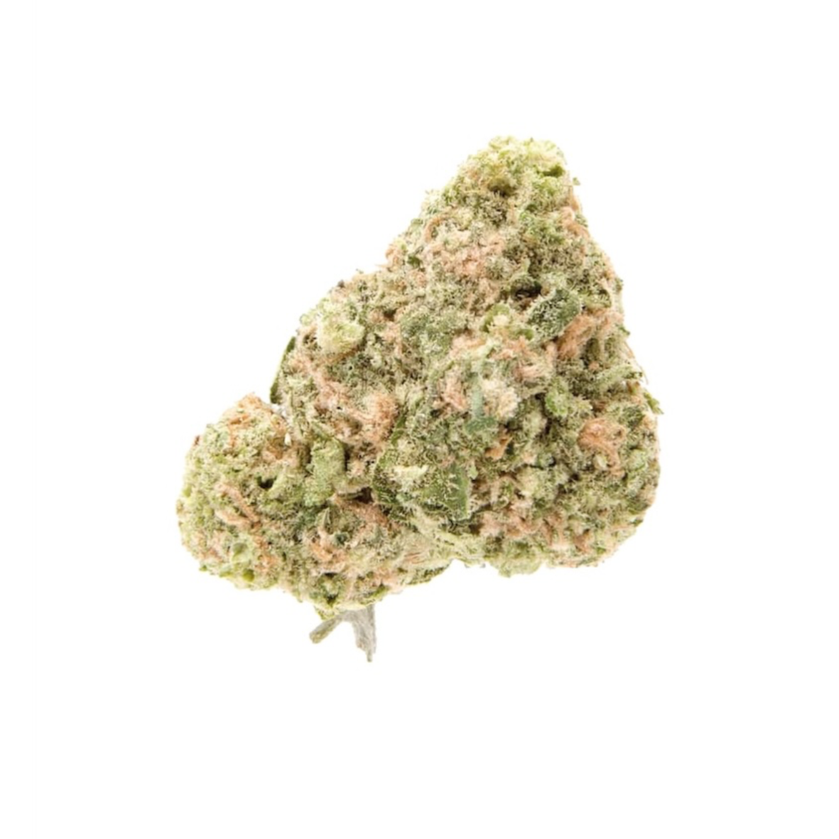 Mimosa