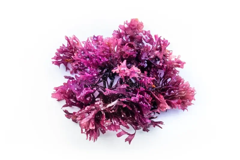 Sea Moss Gummies