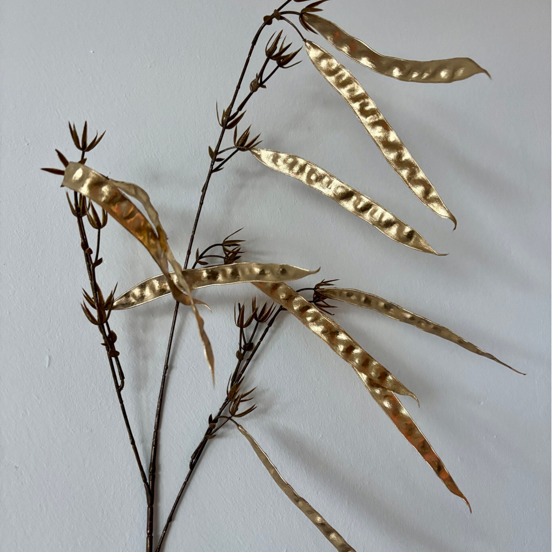 Snijbonen tak | Goud