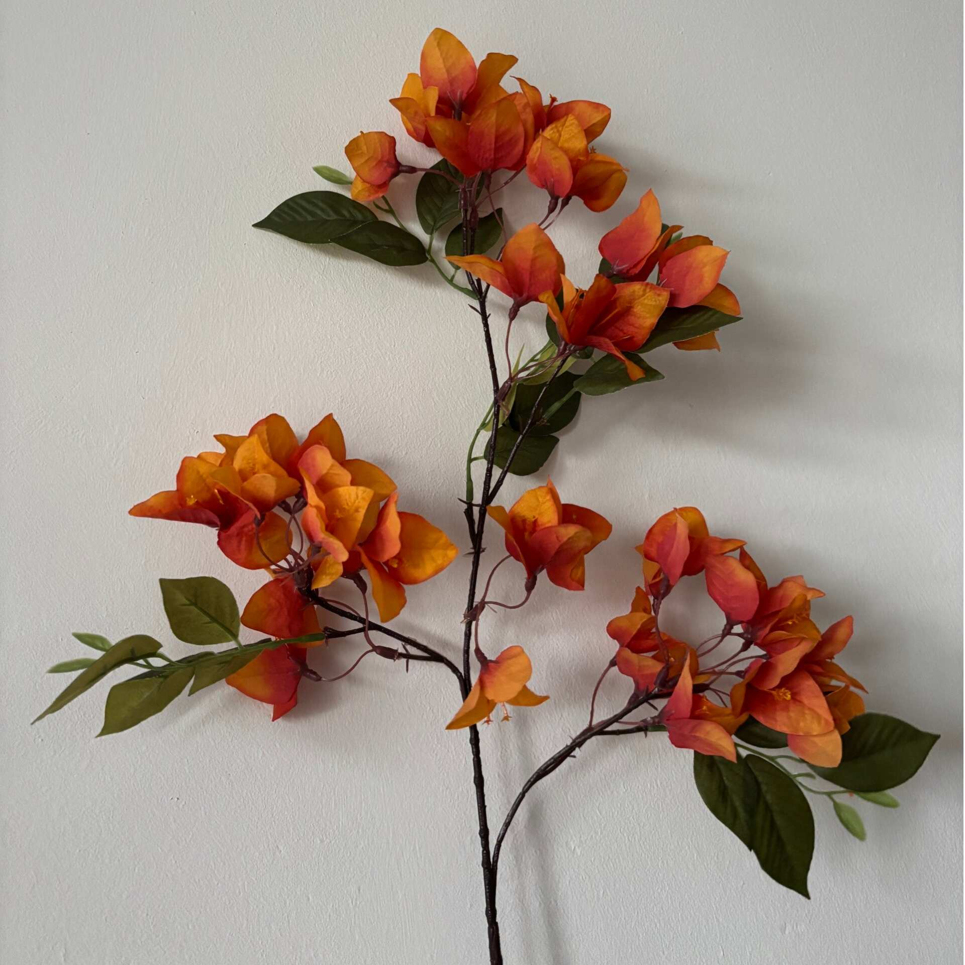Oranje blad