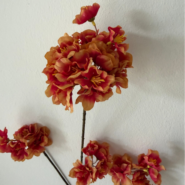 Bloesem | Oranje/rood
