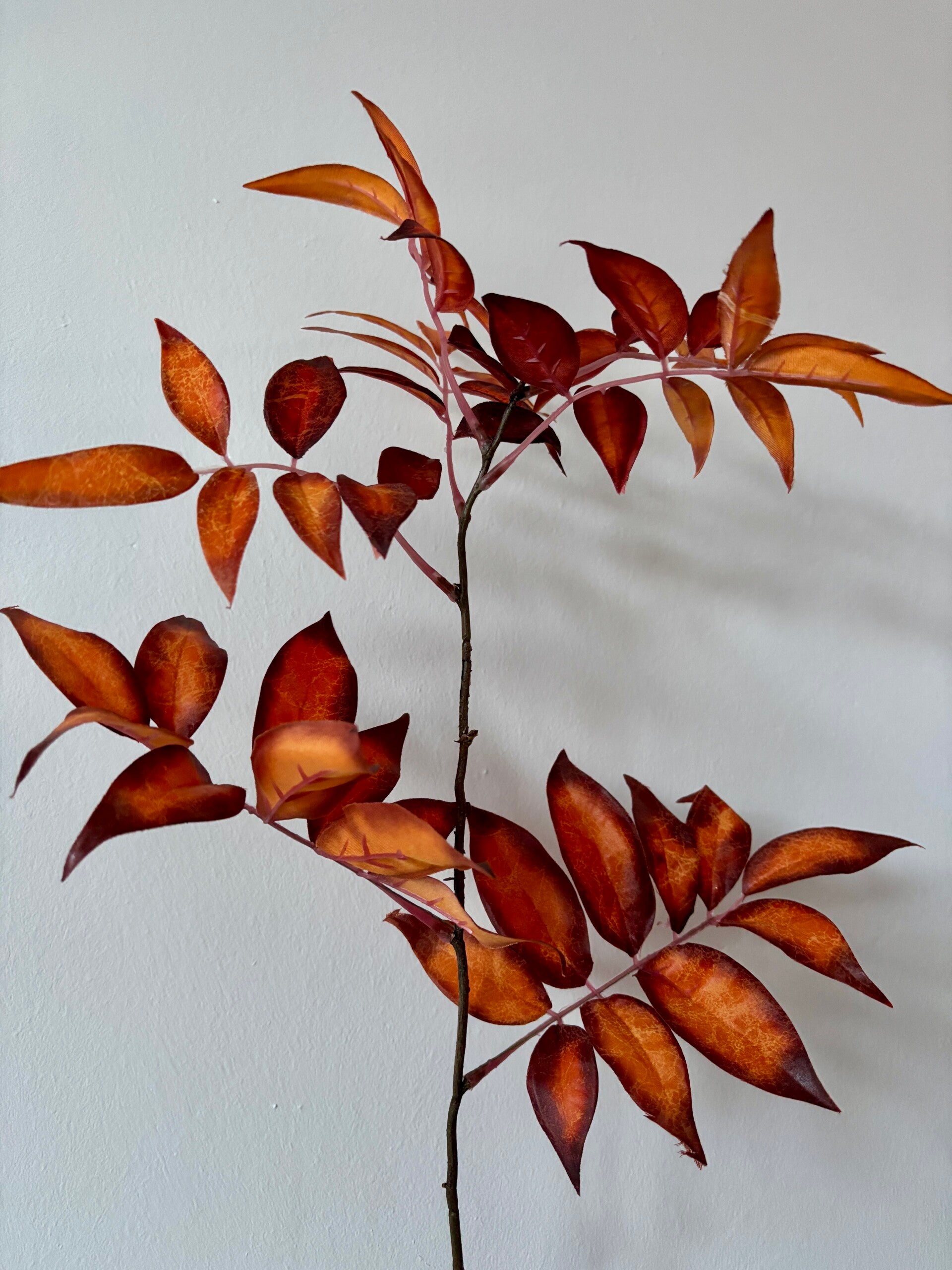 Herfstblad