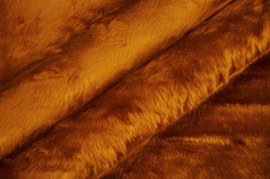 Medium Fur - Amber