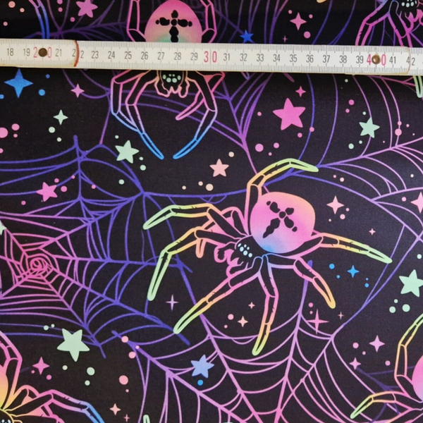 Spider