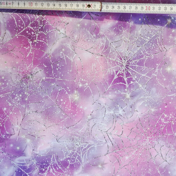 Galaxy Spiderweb
