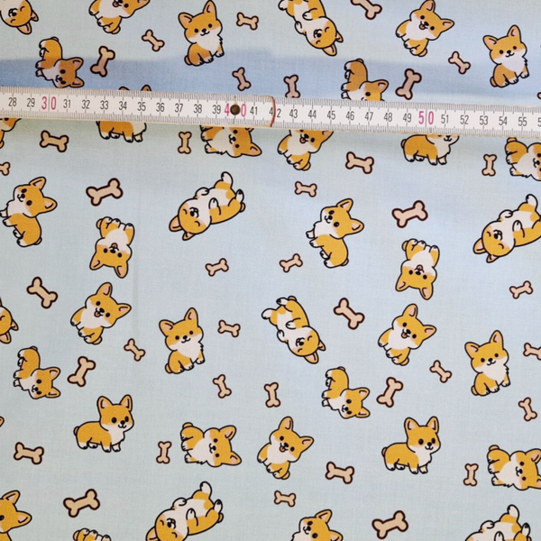 Corgis