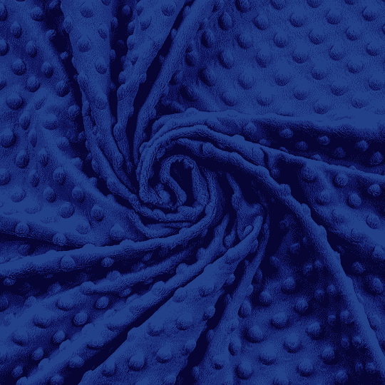 Minky Dots - Victoria Blue