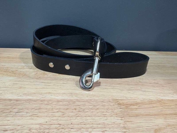 Dog Leash