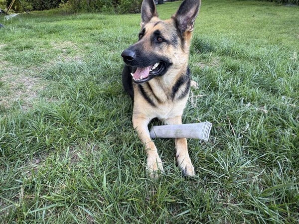 Indestructible Chew Toy