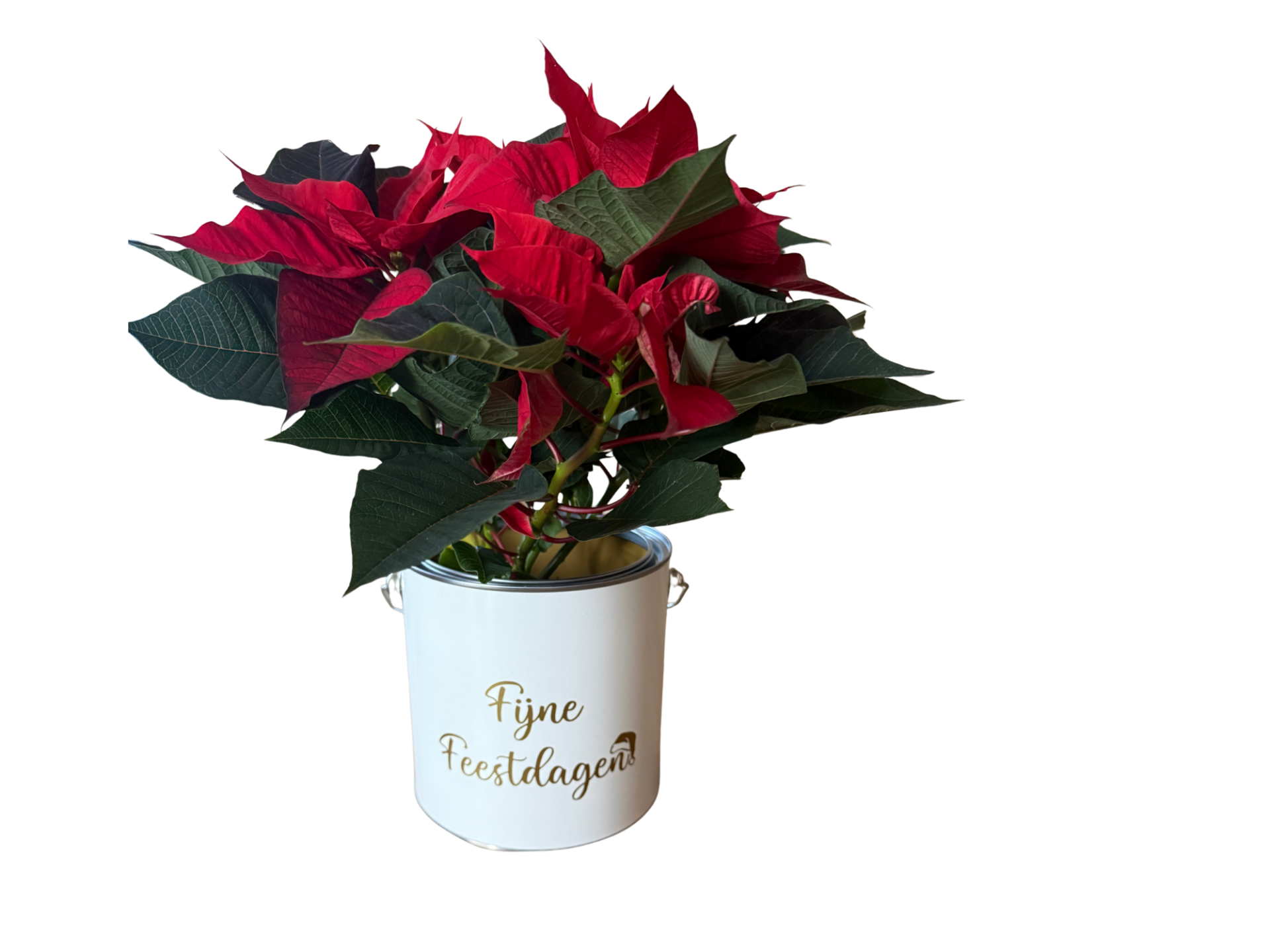 Kadoblik Fijne Feestdagen