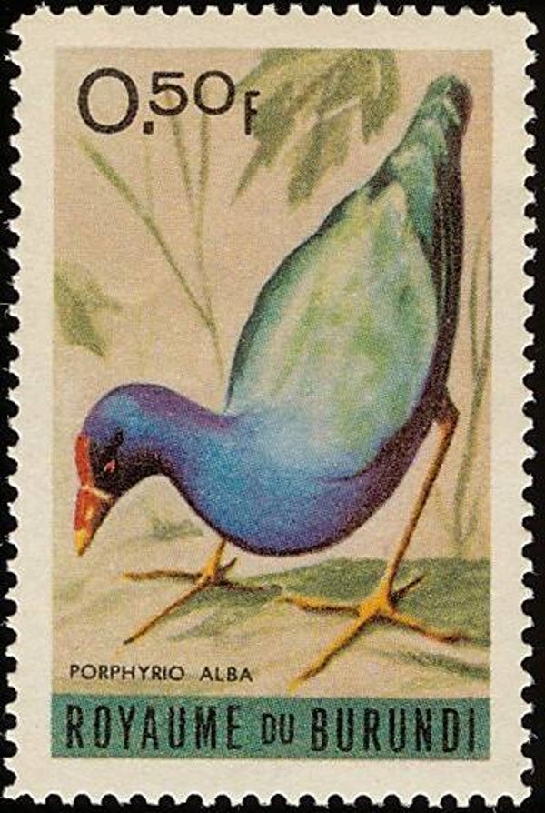 2101 Birds 1965 Burundi (Porphyrio madagascariensis) African Swamphen stamp 0,50f