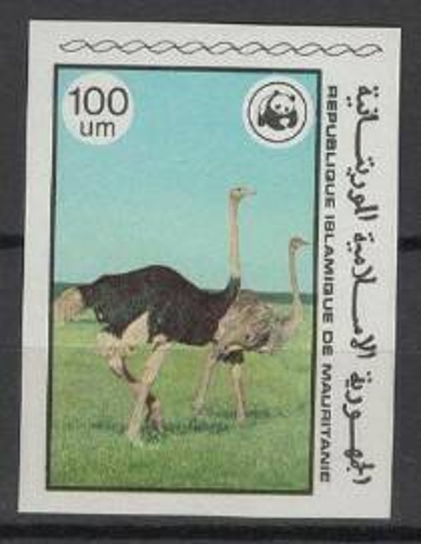 2101 Birds 1978 Mauritania (Struthio camelus) Common Ostrich serie