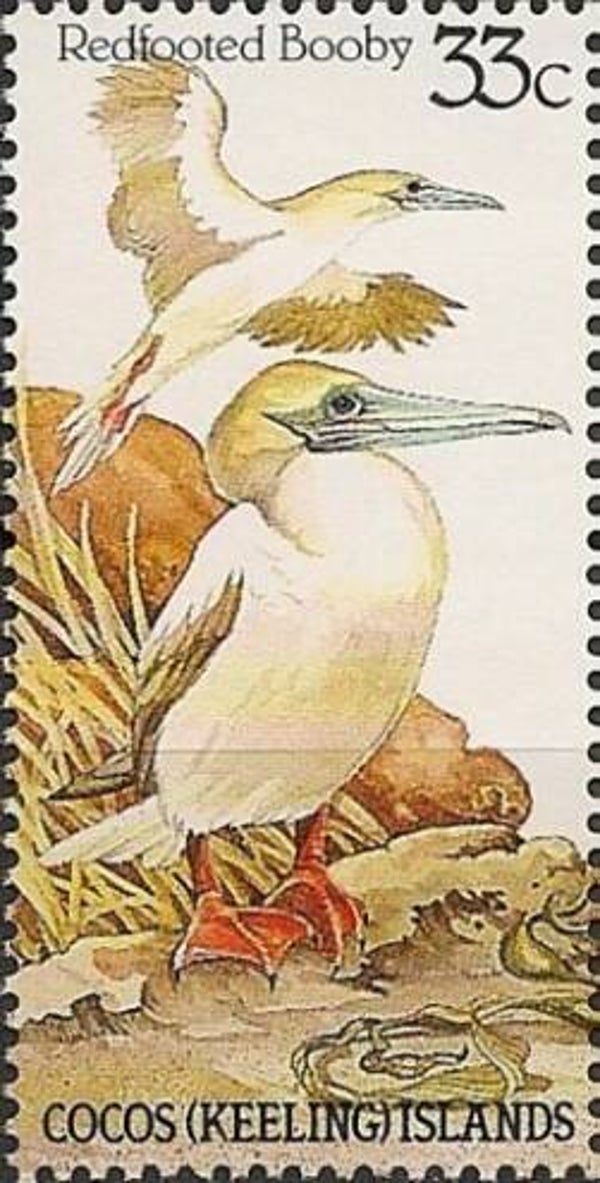 2101 Birds 1985 Cocos (Keeling) Islands (Sula sula) Red-footed Booby stamp