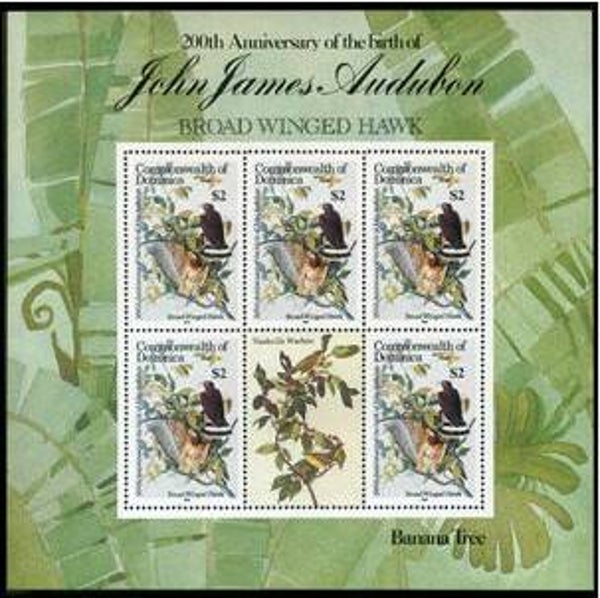 2101 Birds 1985 Dominica Birds of Prey (Buteo platypterus) Broad-winged Hawk miniature sheet