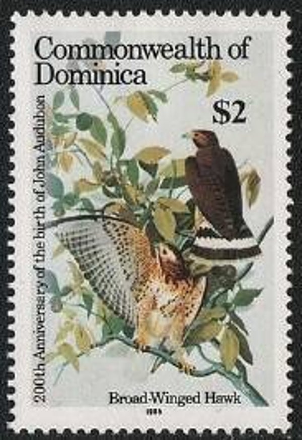 2101 Birds 1985 Dominica Birds of Prey (Buteo platypterus) Broad-winged Hawk serie