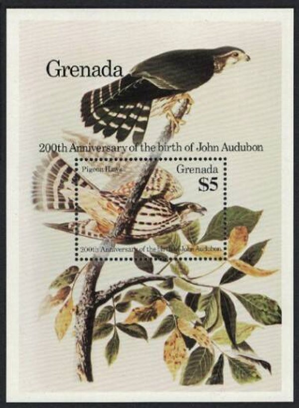 2101 Birds 1985 Grenada Birds of Prey Falcons (Falco columbarius) Merlin miniature sheet
