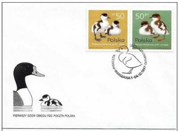 2101 Birds 1997 Poland Ducks FDC