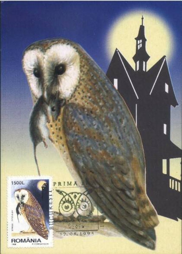 2101 Birds 1998 Romania Owls (Tyto alba) Barn Owl maximum card