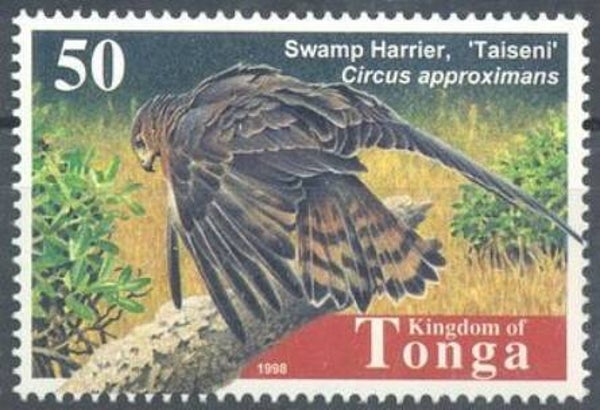 2101 Birds 1998 Tonga Birds of Prey (Circus approximans) Swamp Harrier stamp
