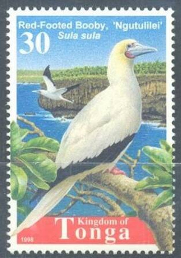 2101 Birds 1998 Tonga (Sula sula) Red-footed Booby stamp