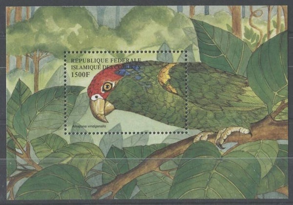 Birds 1999 Comoros Parrots (Amazona viridigenalis) Red-crowned Amazon block