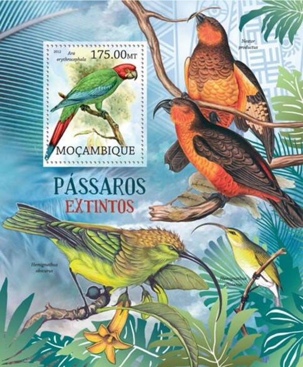 2101 Birds 2012 Mozambique block 1