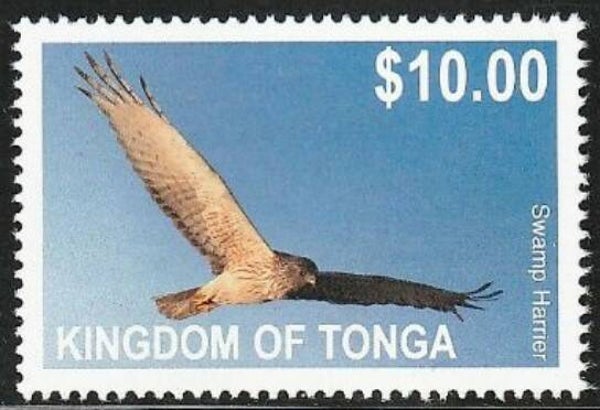 2101 Birds 2012 Tonga Birds of Prey (Circus approximans) Swamp Harrier stamp
