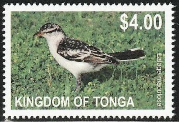 2101 Birds 2012 Tonga (Lalage maculosa) Polynesian Triller stamp