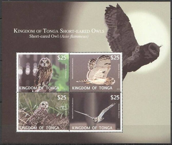 2101 Birds 2012 Tonga Owls (Asio flammeus) Short-eared Owl miniature sheet