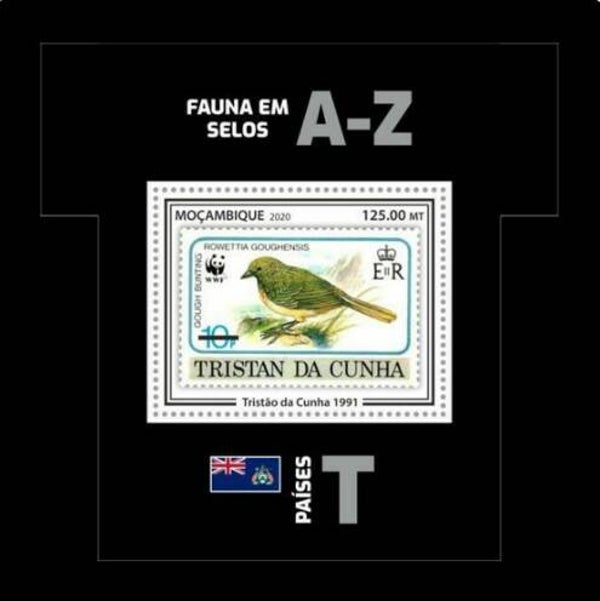 2101 Birds 2020 Mozambique Finches (Rowettia goughensis) Gough Bunting block