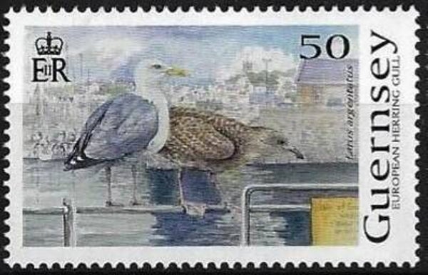 2101 Birds 2021 Guernsey Gulls (Larus argentatus) European Herring Gull stamp