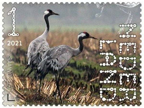 Birds 2021 Netherlands Cranes (Grus grus) Common Crane stamp