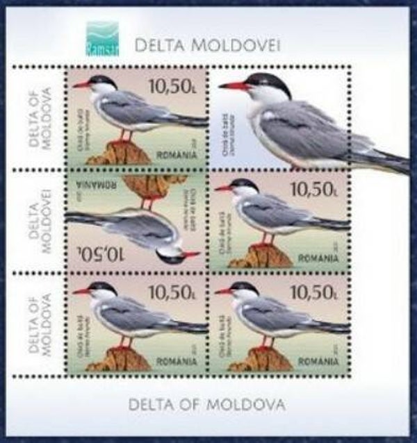 Birds 2021 Romania (Sterna hirundo) Common Tern miniature sheet