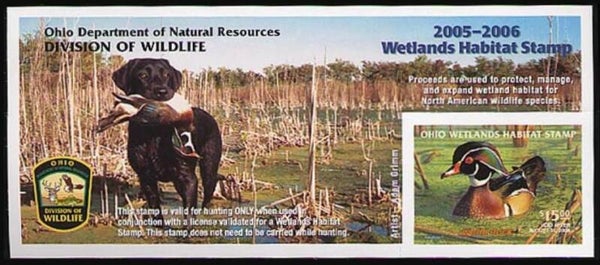 2103 Animals 2005 USA Ohio Dogs Black Labrador waterfowl block