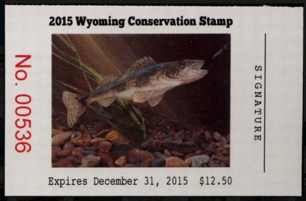2103 Fish 2015 USA Wyoming (Sander canadensis) Sauger conservation stamp