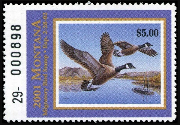 2103 Shipping 2001 USA Montana Paddle Steamer waterfowl stamp