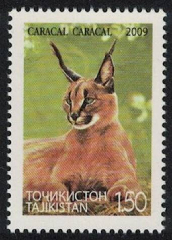 2106 Animal 2009 Tajikistan Wild Cats (Caracal caracal) Caracal stamp