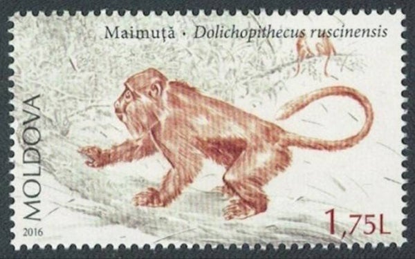 2106 Animal 2016 Moldova Apes (Dolichopithecus ruscinensis) stamp