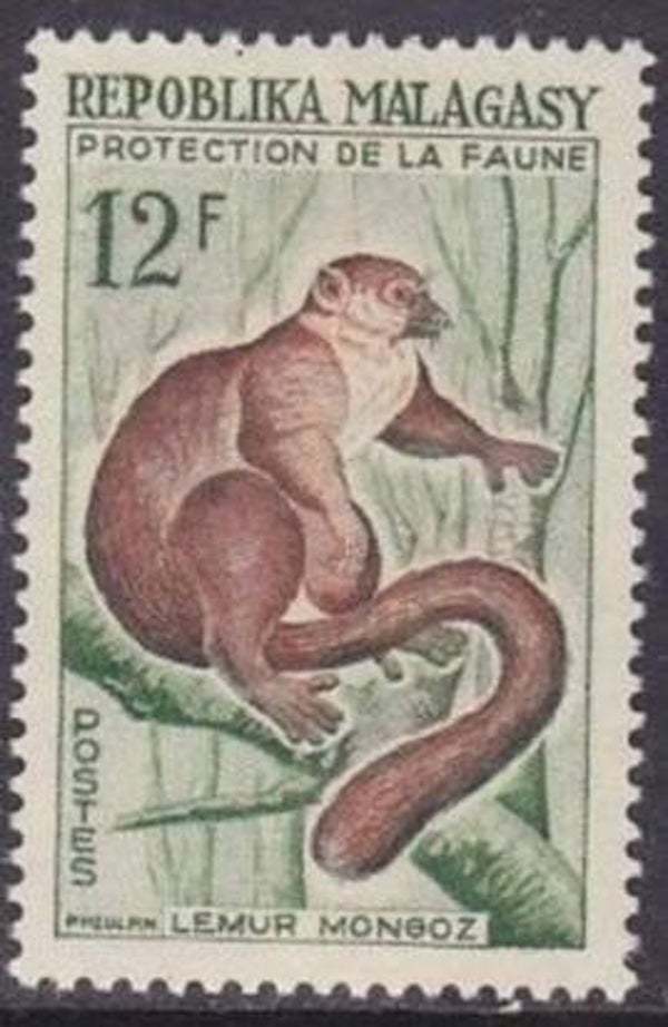 2106 Animals 1961 Madagascar (Eulemur mongoz) Mongoose Lemur stamp