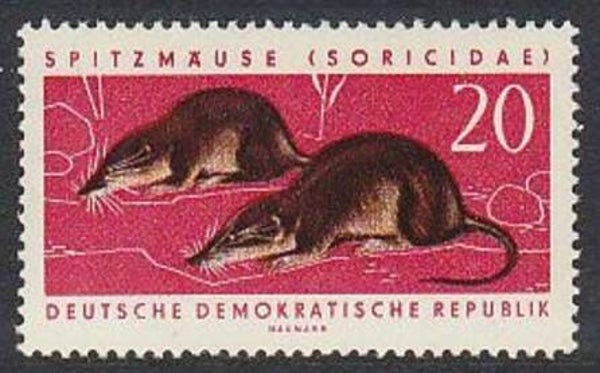 2106 Animals 1962 Germany DDR Mice (Sorex araneus) Common Shrew serie
