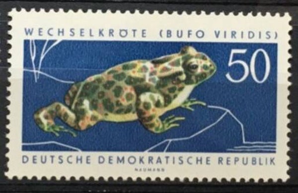 2106 Animals 1963 Germany DDR Frogs (Bufo viridis) European Green Toad stamp
