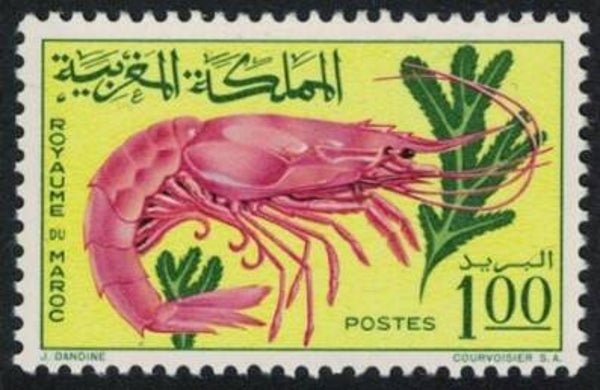 2106 Animals 1965 Morocco Shrimps (Aristaeomorpha foliacea) Giant Red Shrimp serie