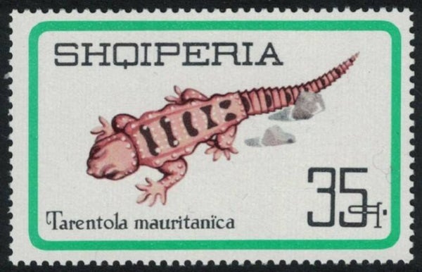 2106 Animals 1966 Albania Lizards (Tarentola mauritanica) Common Wall Gecko stamp