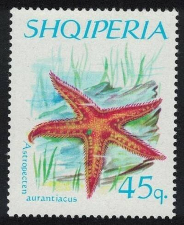 2106 Animals 1966 Albania Starfish (Astropecten aranciacus) Red Comb Star serie
