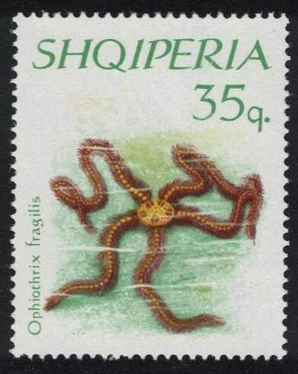 2106 Animals 1966 Albania Starfish (Ophiothrix fragilis) Common Brittle Star serie