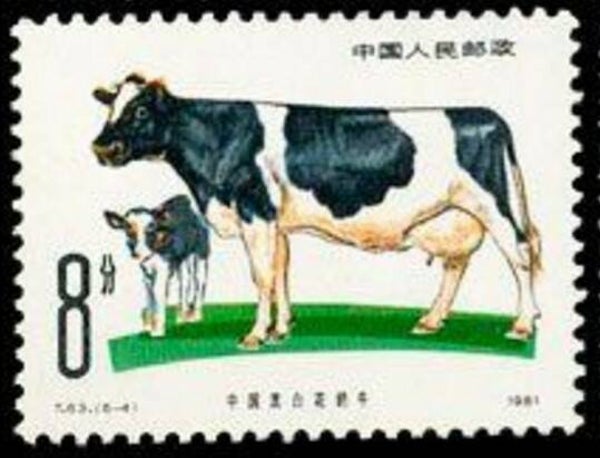 2106 Animals 1981 China Cattle Cows Breed Fries-Hollands serie