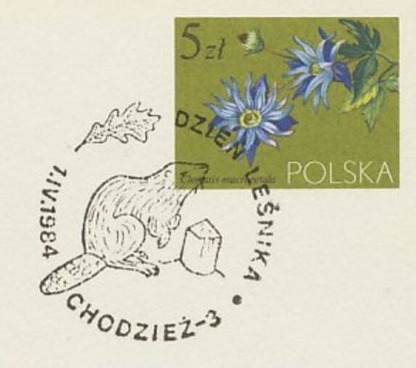 2106 Animals 1984 Poland Beavers (Castor fiber) Eurasian Beaver postmark
